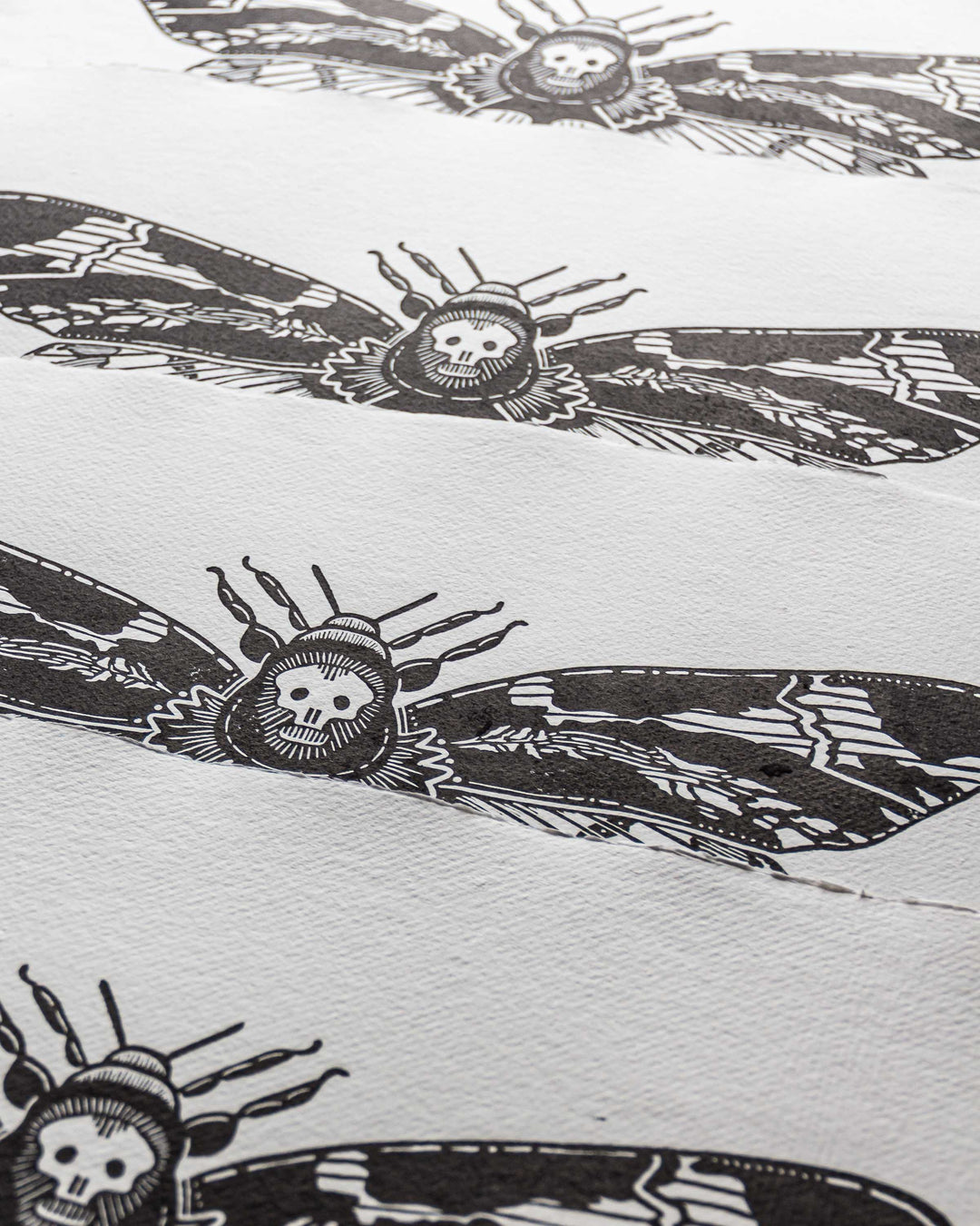 "Atropos"