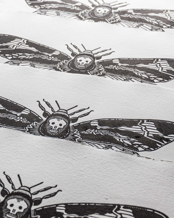 "Atropos"