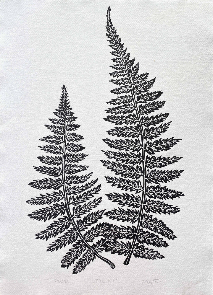 "Filix II"