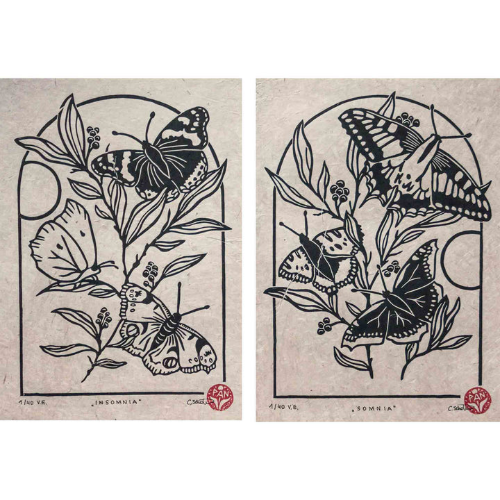 "Somnia" & "Insomnia"